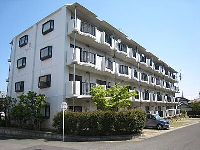 外観 外観