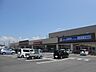 周辺：その他「ドラッグユタカ長浜宮司店様まで350m」