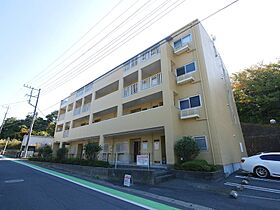 レジダンス・カトレヤ 203 ｜ 茨城県日立市久慈町１丁目（賃貸マンション2LDK・2階・55.08㎡） その1