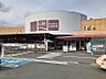 その他：ホームセンター山新神峰店まで1000m