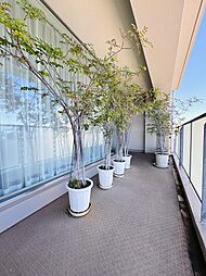 バルコニーの画像