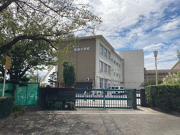 周辺を拡大表示