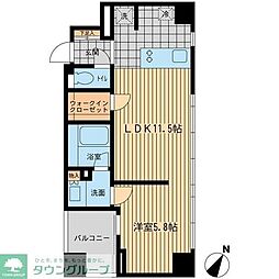 ウィルテラス勝どき 8階1LDKの間取り