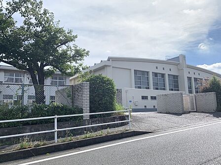 平洲中学校まで　354m　徒歩約5分●校訓「自学・礼節・先施」毎朝の校内清掃、地域のゴミ拾い、小学校での読み聞かせなど、ボランティア活動にも力を入れています。