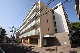 サワー・ドゥ白鷺
