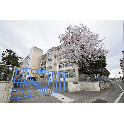 周辺 カインドステージ武蔵砂川 4階/-