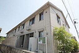 パイン　グローブ井戸