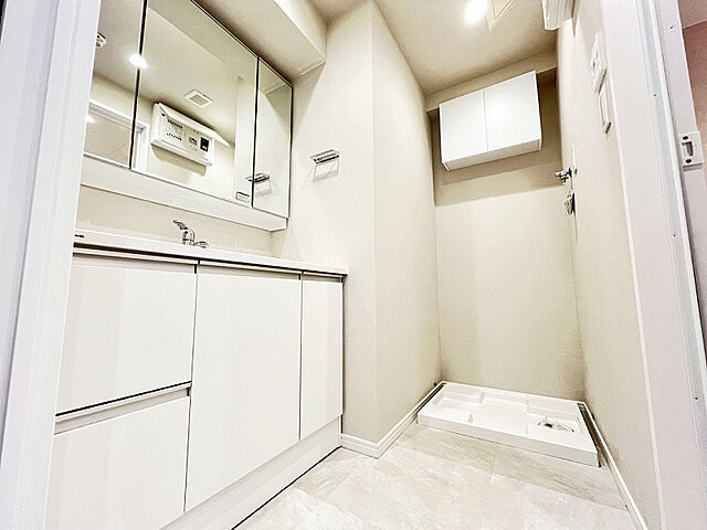 洗面 レーベンハイム西新井アイン 4階/-