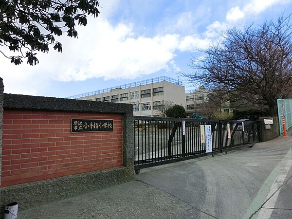 画像23:所沢市立小手指小学校 1121m