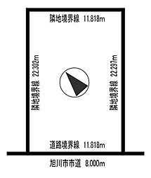 春光4-6