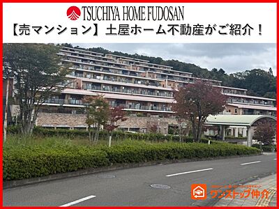 外観：外観