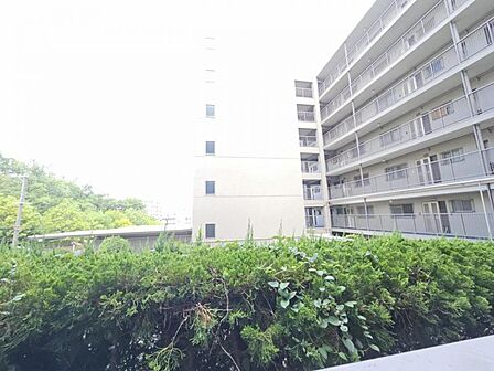緑も多く爽やかな見晴らしです。リフレッシュ気分が味わえますね。