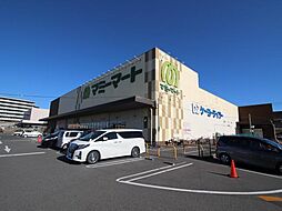 セントラルパーク　ウッズ