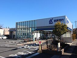 セントラルパーク　ウッズ