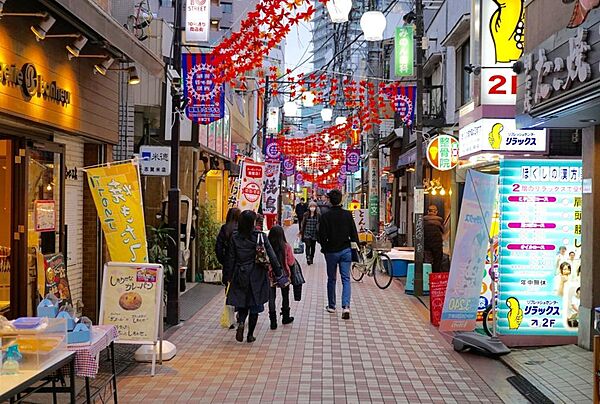 東京都渋谷区笹塚２丁目(賃貸マンション1LDK・9階・41.30㎡)の写真 その25