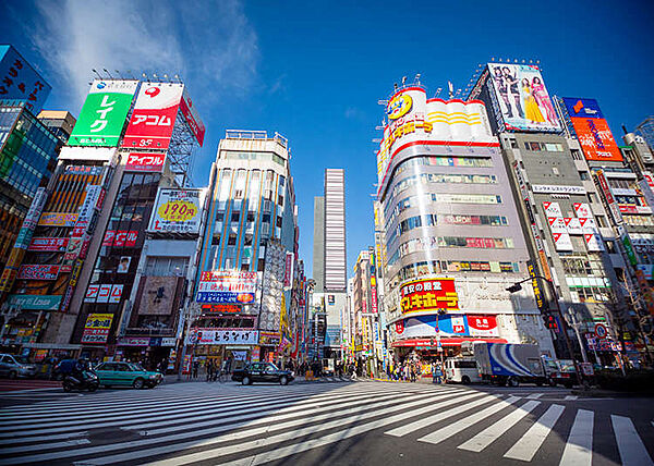 東京都新宿区北新宿１丁目(賃貸マンション1DK・9階・25.30㎡)の写真 その22