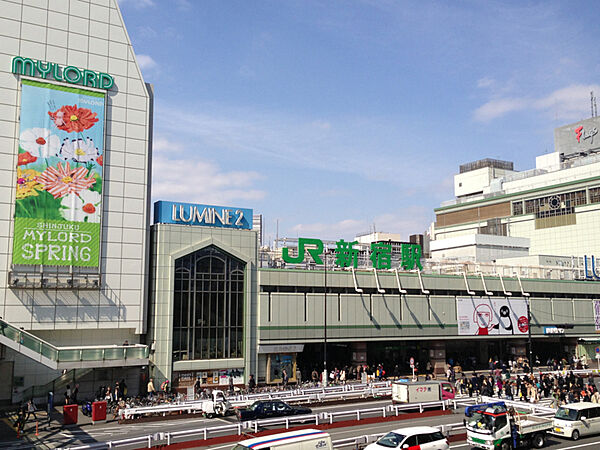 東京都新宿区新宿６丁目(賃貸マンション1LDK・11階・41.41㎡)の写真 その16