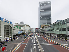 東京都新宿区新宿６丁目（賃貸マンション1LDK・9階・32.22㎡） その25