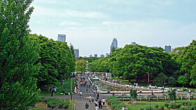 東京都渋谷区神山町（賃貸マンション1K・2階・29.15㎡） その24