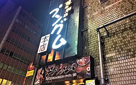 東京都新宿区歌舞伎町２丁目（賃貸マンション1K・5階・25.24㎡） その29