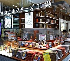 東京都千代田区岩本町２丁目（賃貸マンション1K・12階・25.90㎡） その24