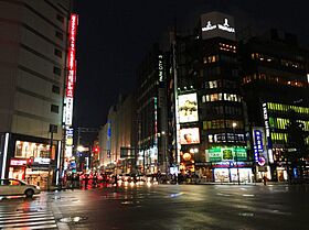 東京都新宿区新宿５丁目（賃貸マンション1K・地下8階・25.03㎡） その25