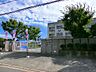 周辺：茨木市立白川小学校（378m）