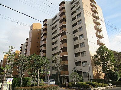 外観 外観