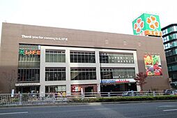 【スーパー】ライフ 中野坂上店まで1153ｍ