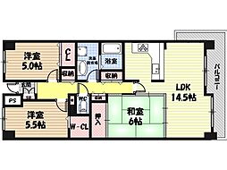 パードレ関目 10階/-