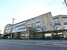 周辺：川崎市立橘小学校（492m）