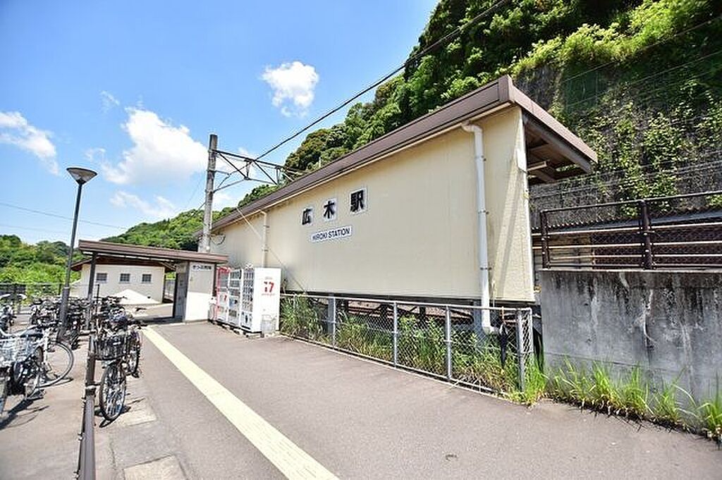 Image 12