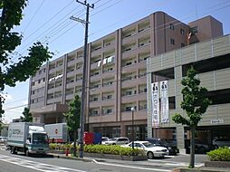 ベルヴィオウミ