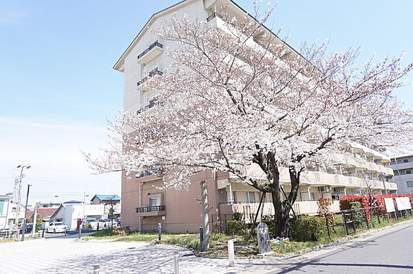 URアーバンラフレ小幡 ｜愛知県名古屋市守山区小幡太田1丁目(賃貸マンション1LDK・2階・54.72㎡)の写真 その16