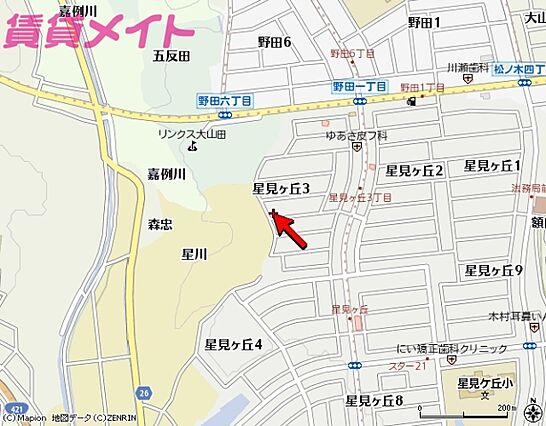 ベルデュール_その他_1