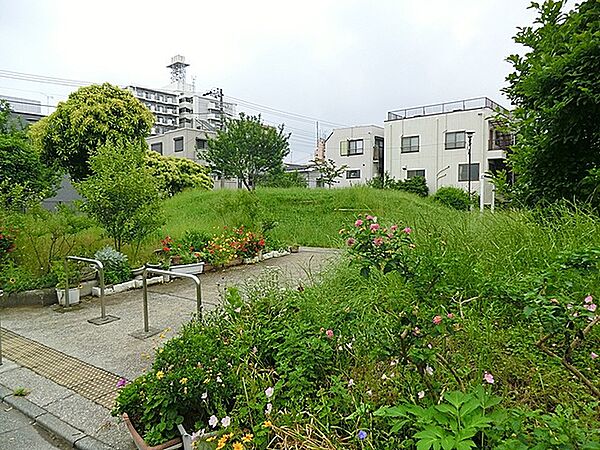 周辺を拡大表示