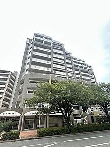 外観：　