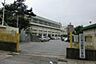 周辺：周辺環境-小学校(1120m)川口市立慈林小学校