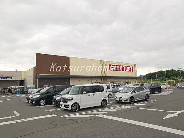 Serena Garden ｜千葉県流山市思井(賃貸マンション1LDK・2階・48.93㎡)の写真 その25