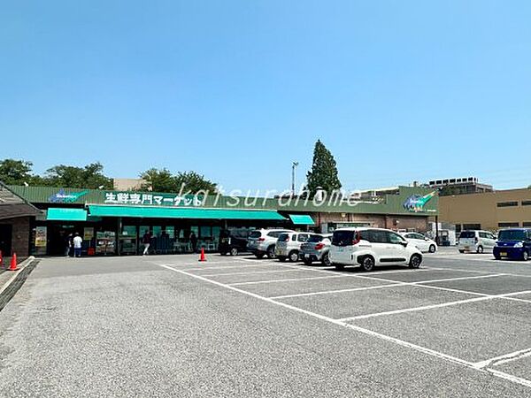 サードコート 102｜千葉県流山市東初石4丁目(賃貸アパート1LDK・1階・42.38㎡)の写真 その17