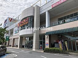【スーパー】ヤオコー モラージュ柏店まで1362ｍ