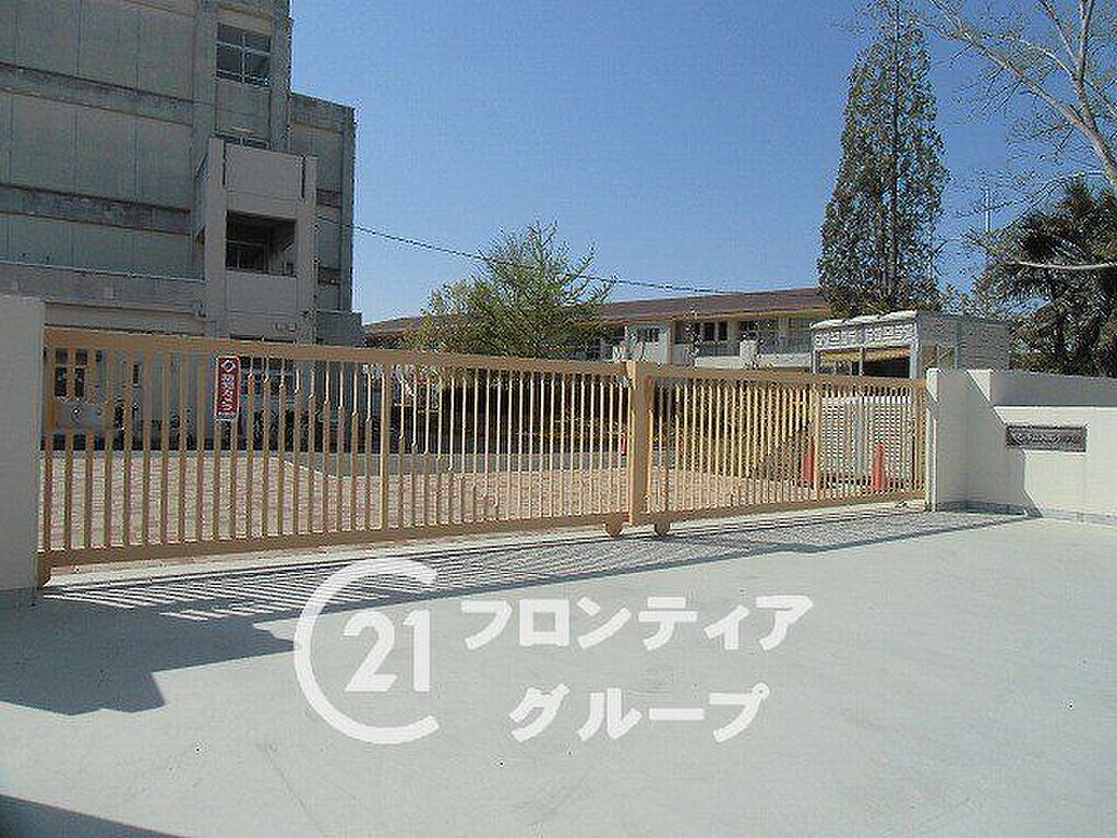 Image 7