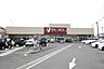 周辺：ヤオコー大宮蓮沼店 729m