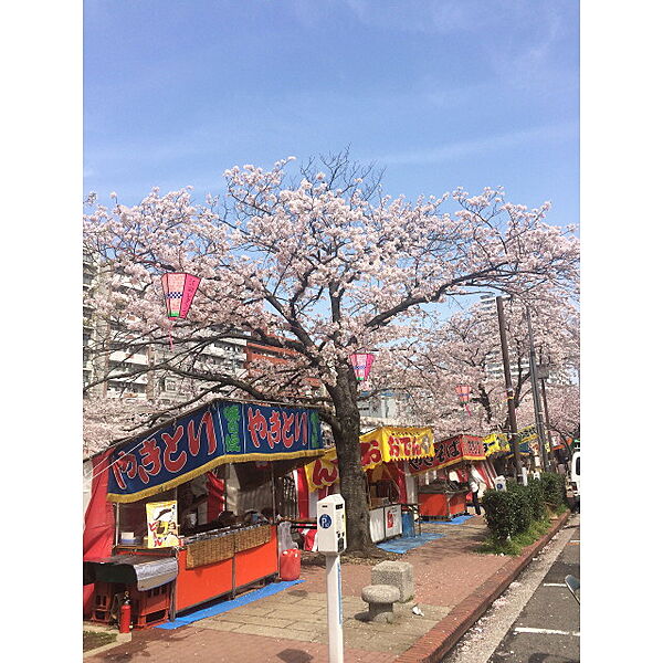 プレール・ドゥーク横浜SOUTH Maison Loir