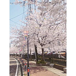 プレール・ドゥーク横浜SOUTH Maison Loir