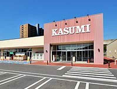 画像24:【スーパー】KASUMI(カスミ) 万博記念公園駅前店まで929ｍ