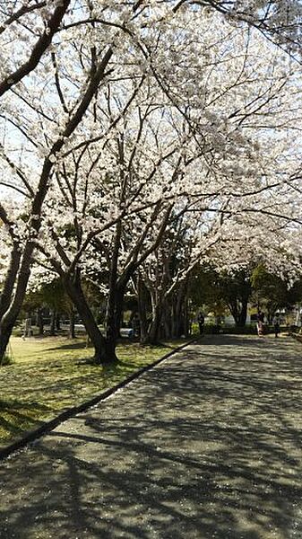 画像26:【公園】桜ニュータウン中央公園まで2261ｍ