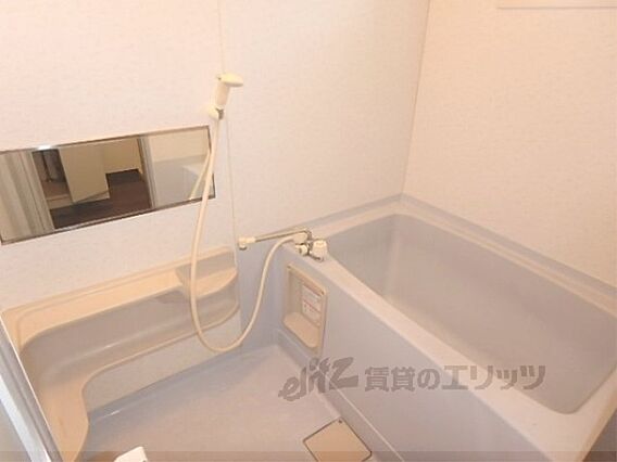 グロリオーサ園_その他_0