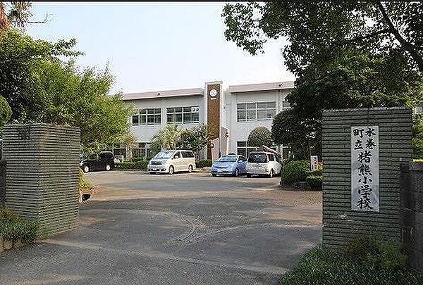 画像15:猪熊小学校(1、000m)