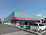 周辺：コスモス(260m)